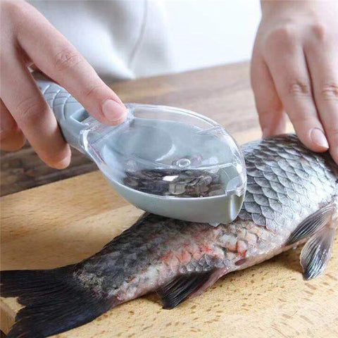 Fish Scale Scaper with Lid