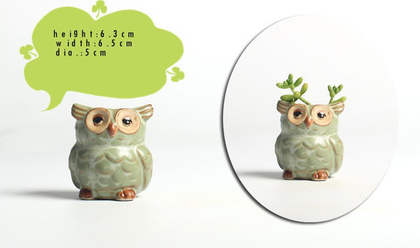 5pc/set Owl Flower Pot