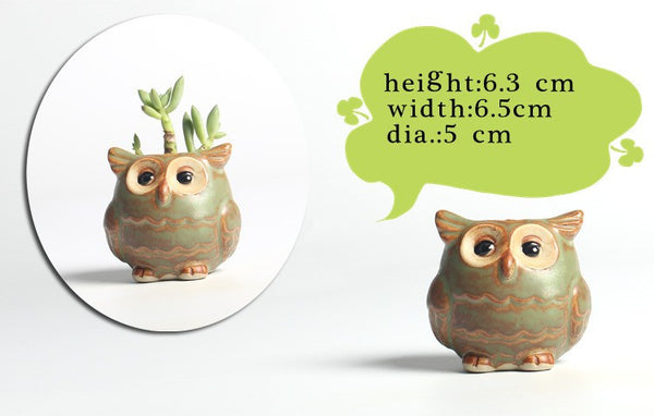 5pc/set Owl Flower Pot